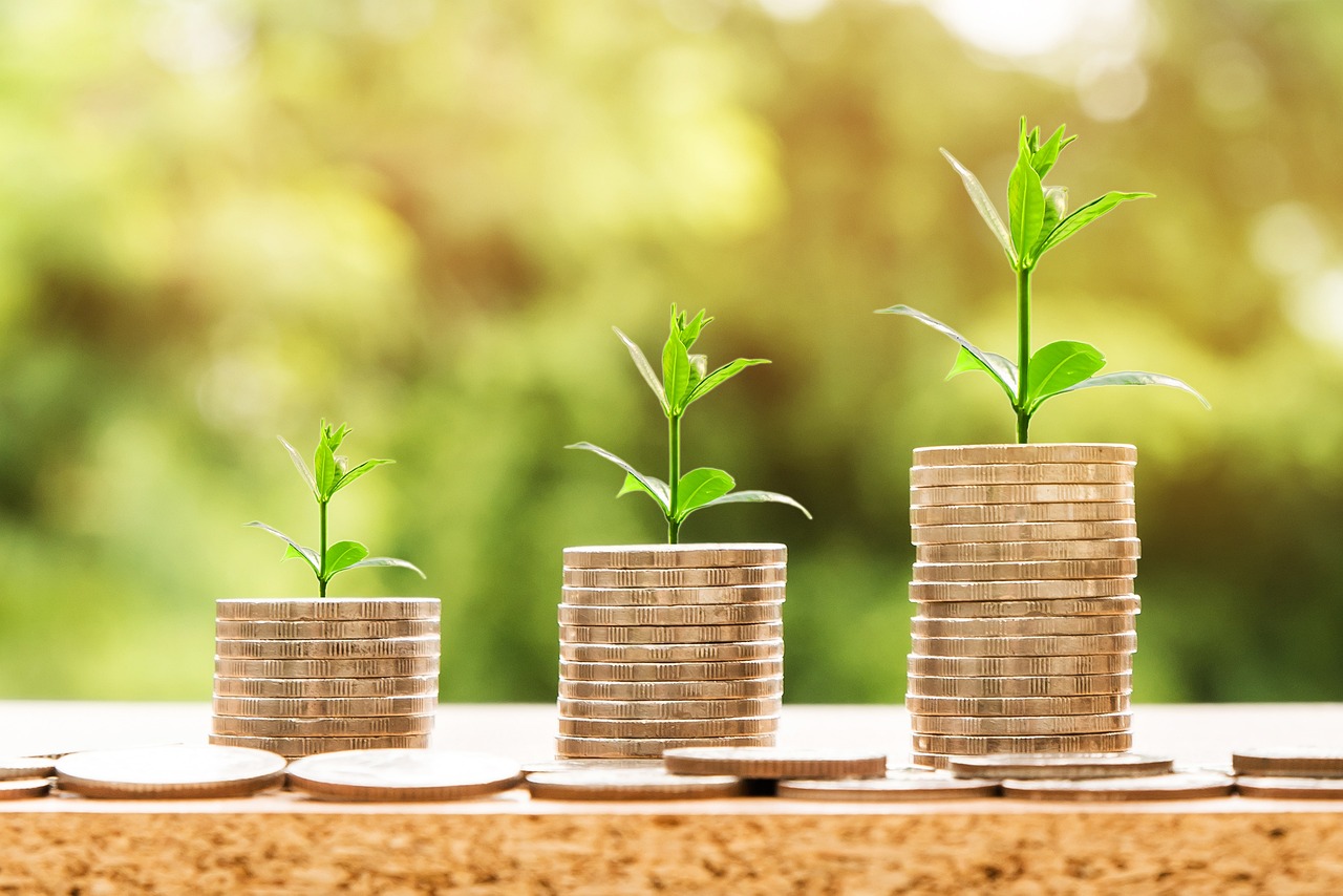 Understanding Tokenised Carbon Credits