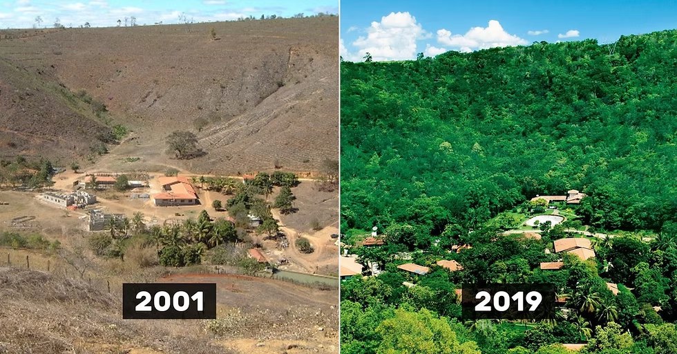 Salgado's land transformation