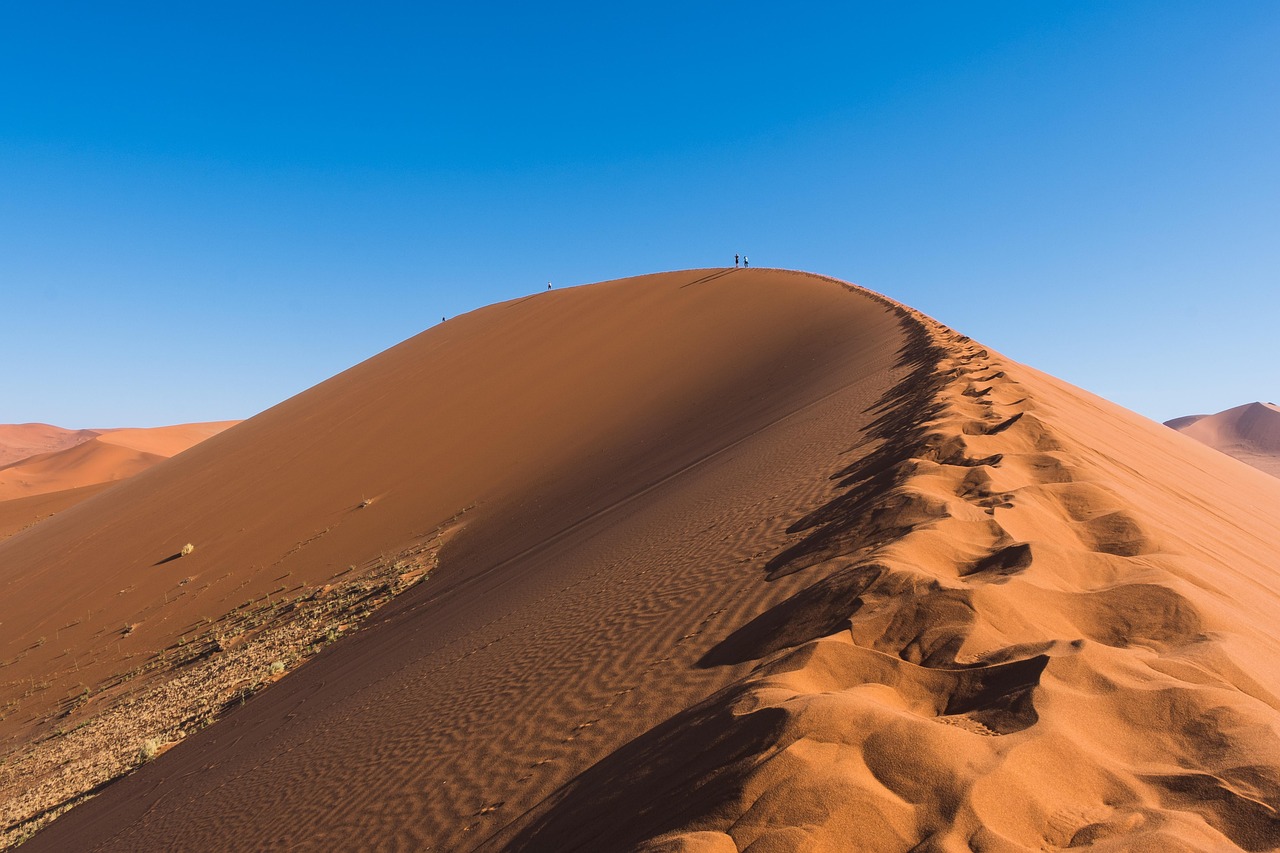 Breaking Down the Octant Epoch 7 Climate Solutions Funding Round
